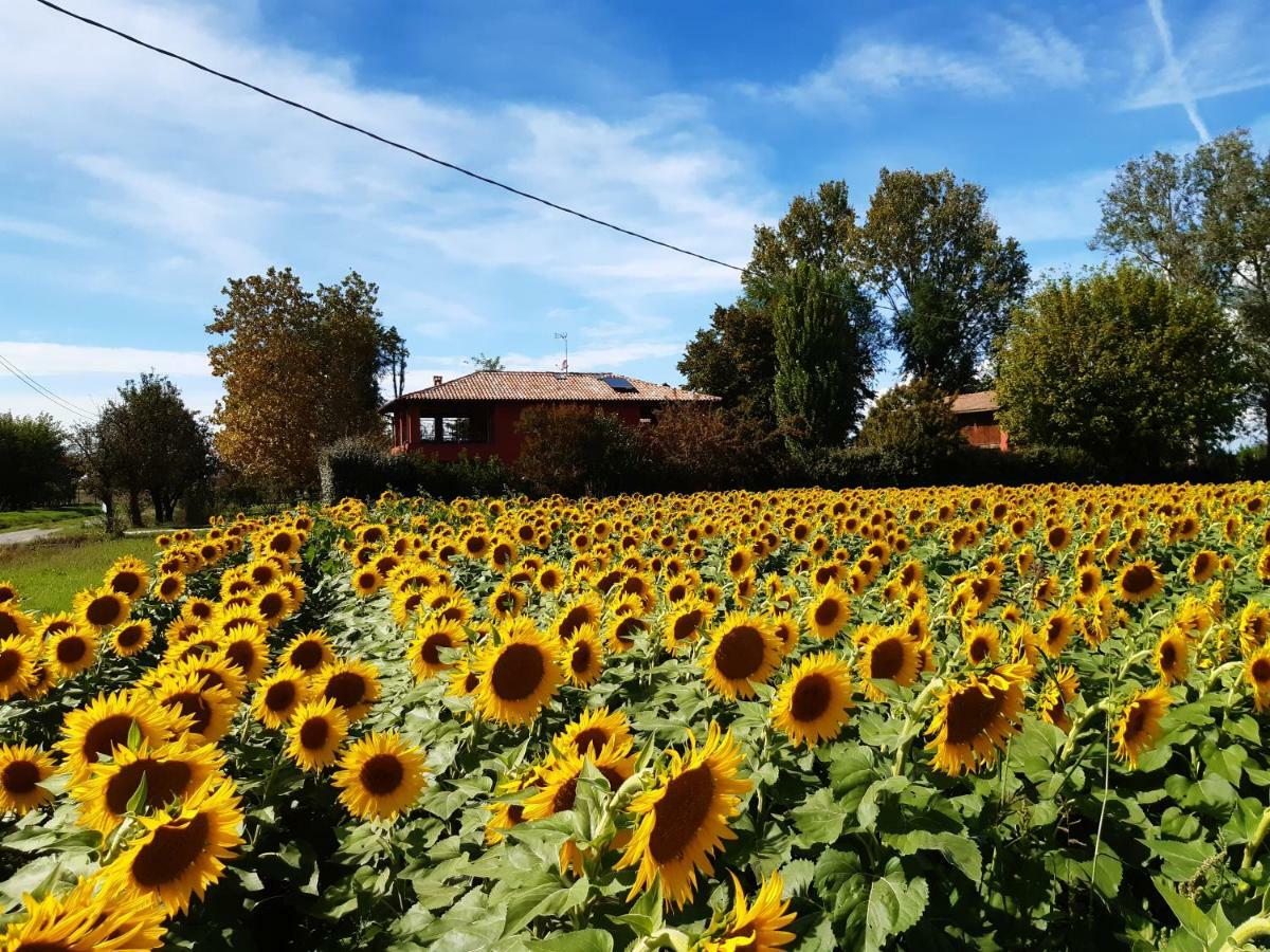 Bed and Breakfast Santa Maria Di Lorgana Minerbio Exterior foto