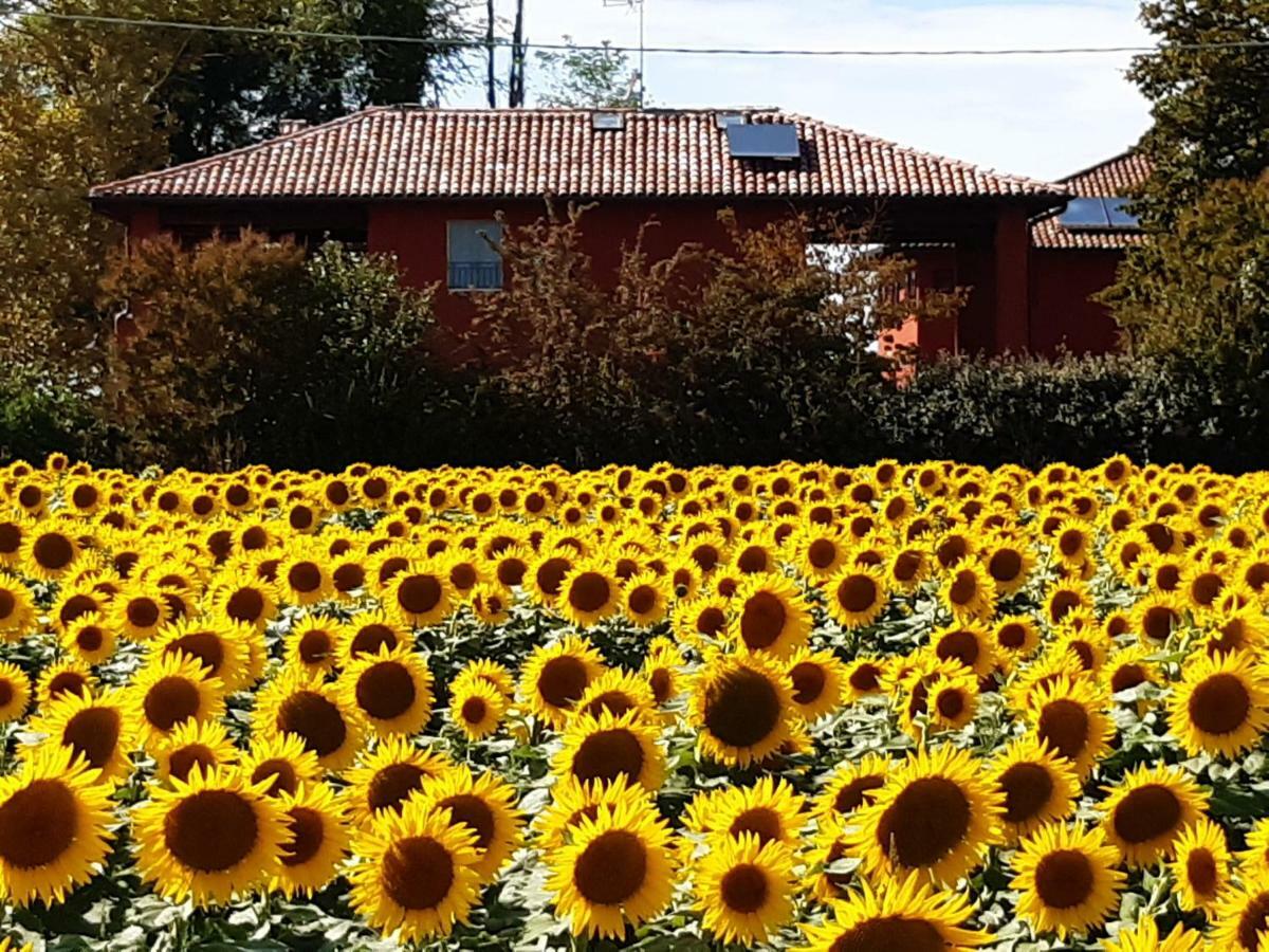Bed and Breakfast Santa Maria Di Lorgana Minerbio Exterior foto