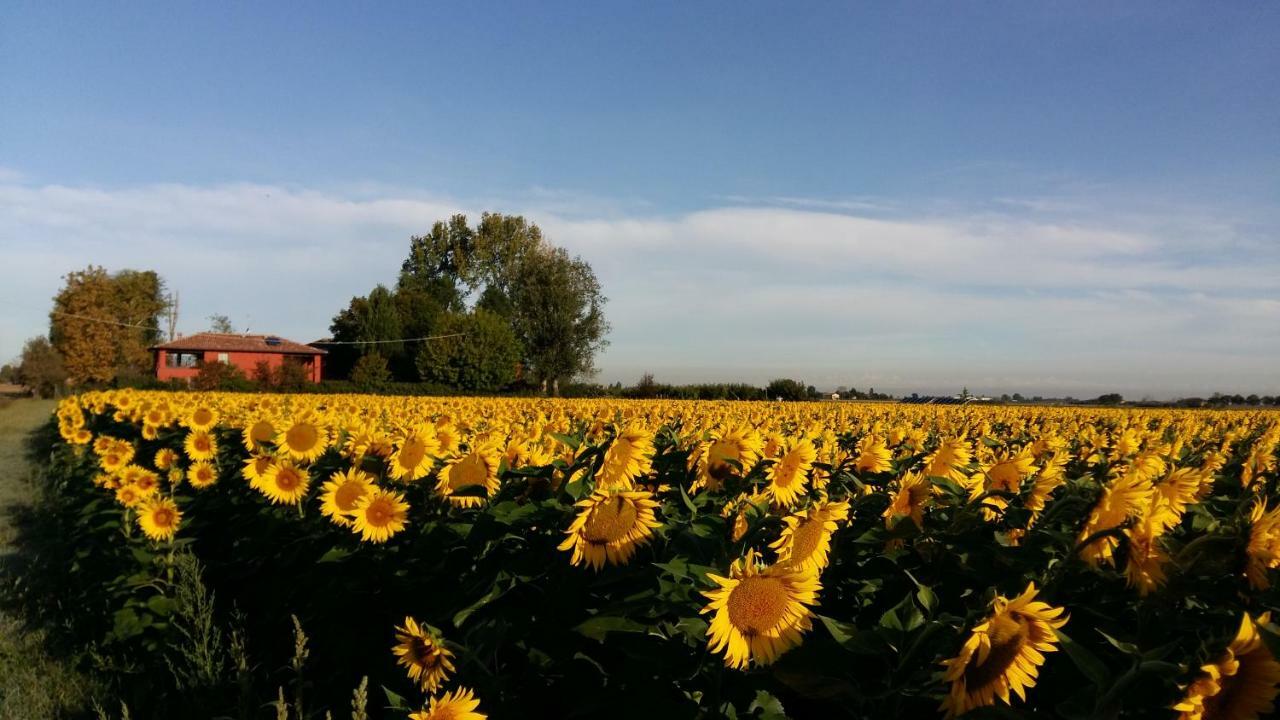 Bed and Breakfast Santa Maria Di Lorgana Minerbio Exterior foto