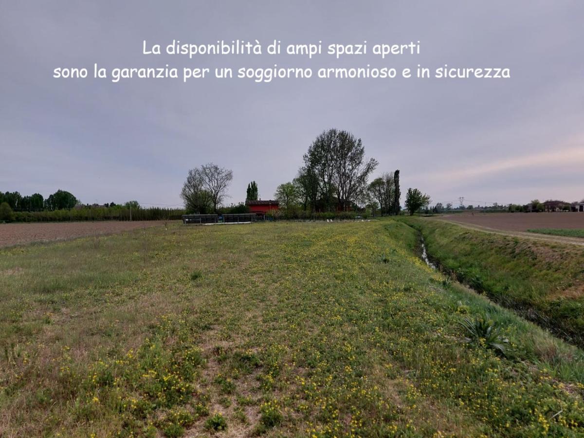 Bed and Breakfast Santa Maria Di Lorgana Minerbio Exterior foto