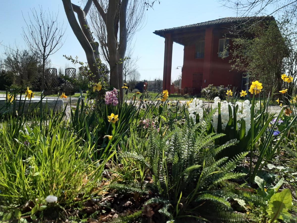 Bed and Breakfast Santa Maria Di Lorgana Minerbio Exterior foto